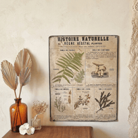 Image 1 of LA PLANCHE BOTANIQUE DEYROLLE N°18