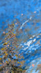 Image of Slow down and breathe me in. Macclesfield Forest 