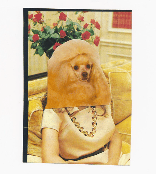 Image of 'FANCY' (woman) • pillow