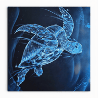 KTD - Constellation de la tortue
