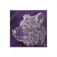 KTD - Constellation de la grande ours