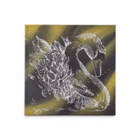 KTD - Constellation du cygne