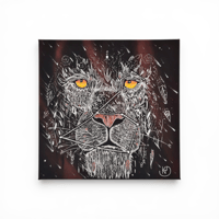 KTD - Constellation du lion