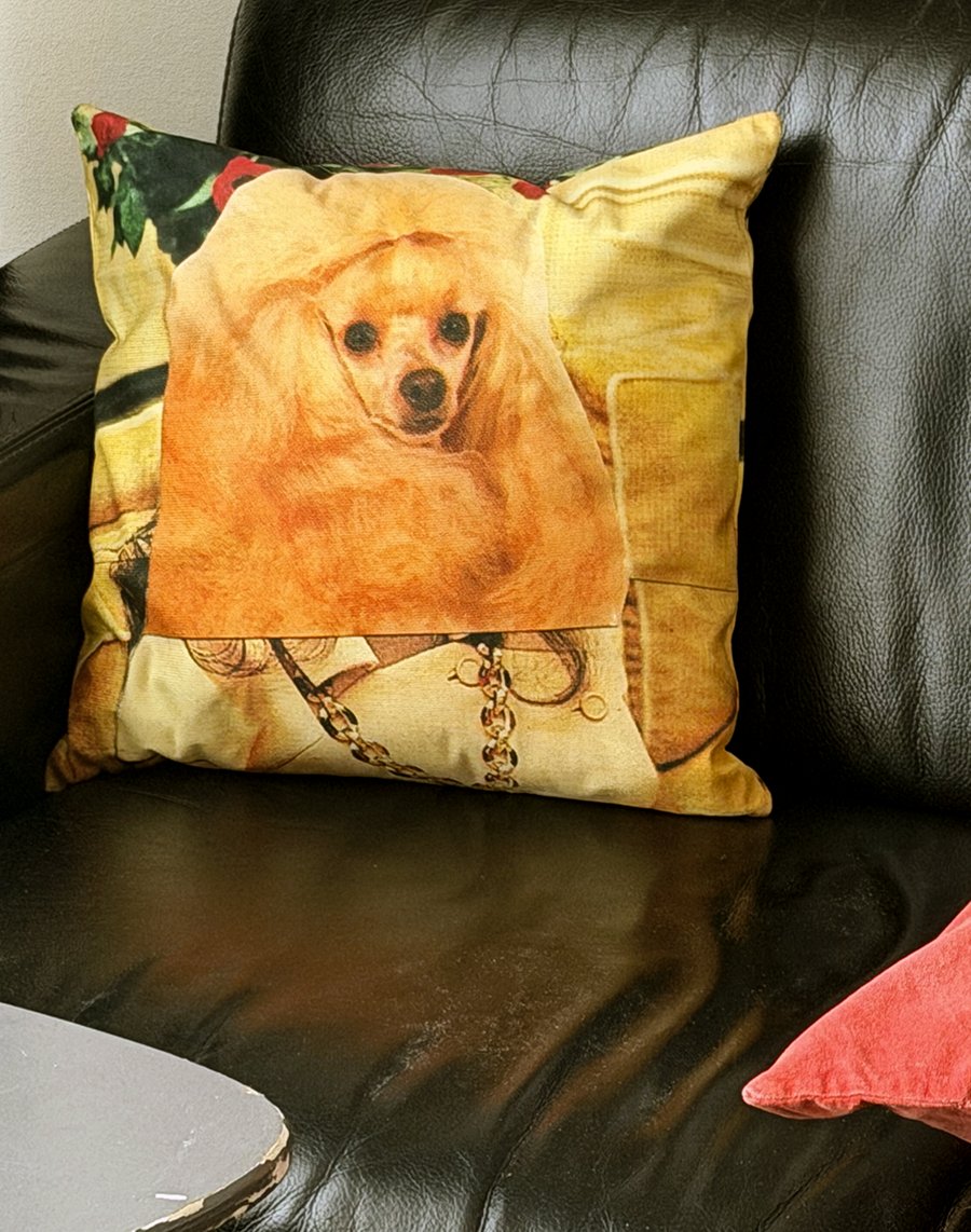 Image of 'FANCY' (woman) • pillow