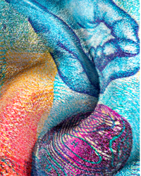 Image 3 of 100CHF BEACH TOWEL