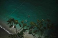 Float