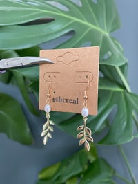 Image 4 of Willow Pearl Earrings