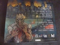 Image 2 of HOOKS & BONES '' One Sunk Into the Cobra's Nest '' LP