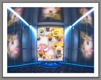 sPHere 26 - P32
