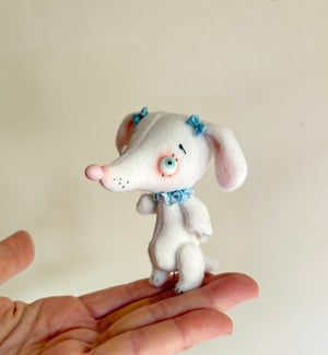 Image of Sweet Sally the Puppy