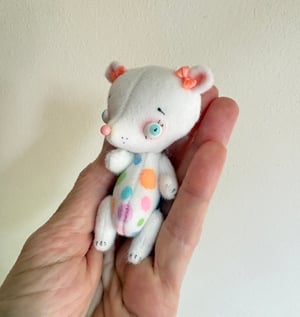 Image of Poppy the Tint Bear