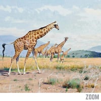 Image 4 of “Giraffes on the Savannah” Vintage Wildlife Print