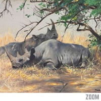 Image 4 of “Two Rhinoceroses Resting” Wildlife Art Print