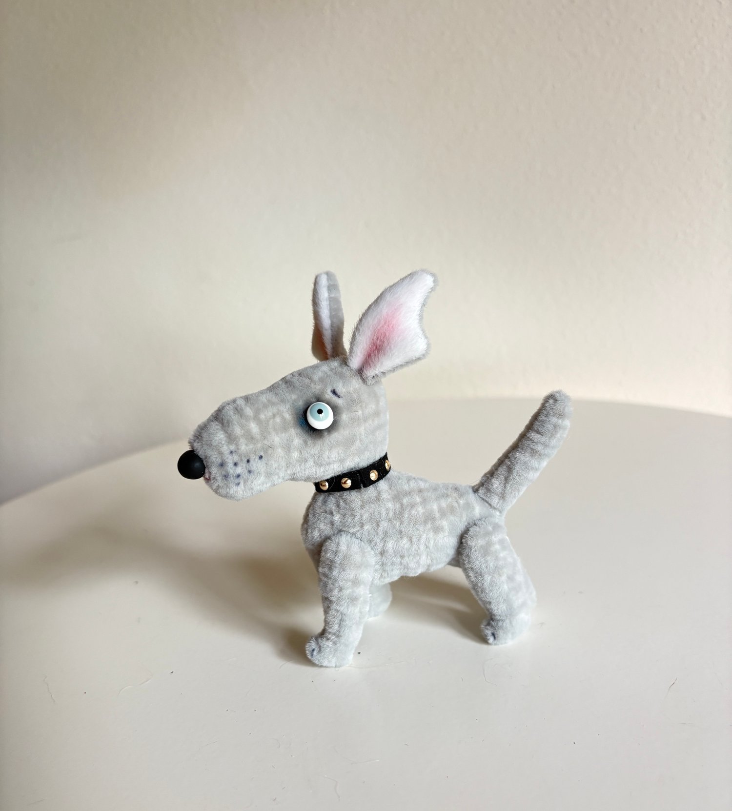 Image of Waffles the Bull Terrier