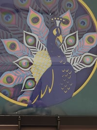 Image 2 of Peacock elegance