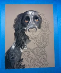 Image 2 of English Springer Spaniel - Original Pastel Pencil Dog Portrait
