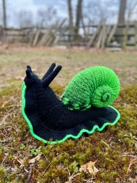 Black and Green Giant Snail