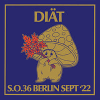 Image 1 of DIÄT - S.O.36 Berlin Sept ’22 LP [Pre-Order. Out 6.26.26]