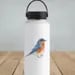 Image 3 of Eastern Blue Bird Vinyl Sticker 
