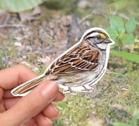 Image 1 of White Throated Sparrow Bird Vinyl Sticker