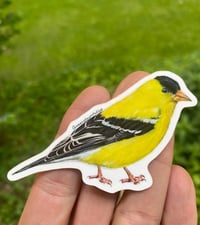 Image 2 of American Goldfinch Bird Vinyl Sticker