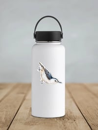 Image 3 of White-Breasted Nuthatch Bird Vinyl Sticker