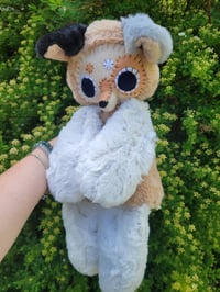 Image 2 of Star Aussie Dog 