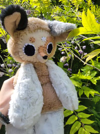 Image 4 of Star Aussie Dog 