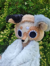 Image 5 of Star Aussie Dog 