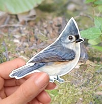 Image 1 of Tufted Titmouse Bird Vinyl Sticker