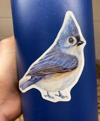 Image 3 of Tufted Titmouse Bird Vinyl Sticker