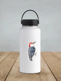 Image 3 of Red-bellied Woodpecker Vinyl Sticker 