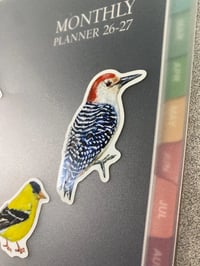 Image 4 of Red-bellied Woodpecker Vinyl Sticker 