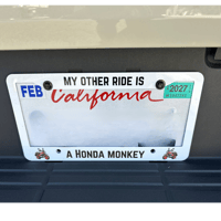 Image 3 of CUSTOMIZED LICENSE PLATE 