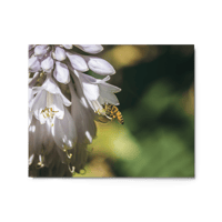 Bumble Bee