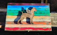 Image 5 of Medium Rainbow Box