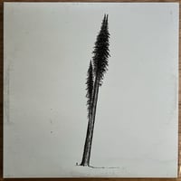 Image 1 of Eric Riedl & hanging moss - Split LP