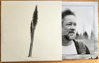 Image 3 of Eric Riedl & hanging moss - Split LP