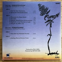 Image 2 of Demystification // Forestscapes 2LP - 2nd Pressing