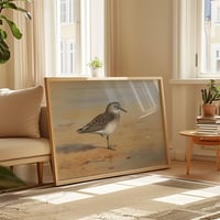 Image 2 of “Bonaparte’s Sandpiper” Ornithological Art Print