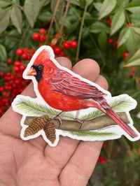 Image 2 of Red Cardinal Bird Vinyl Sticker