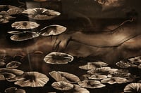 Image 3 of L'Abandon