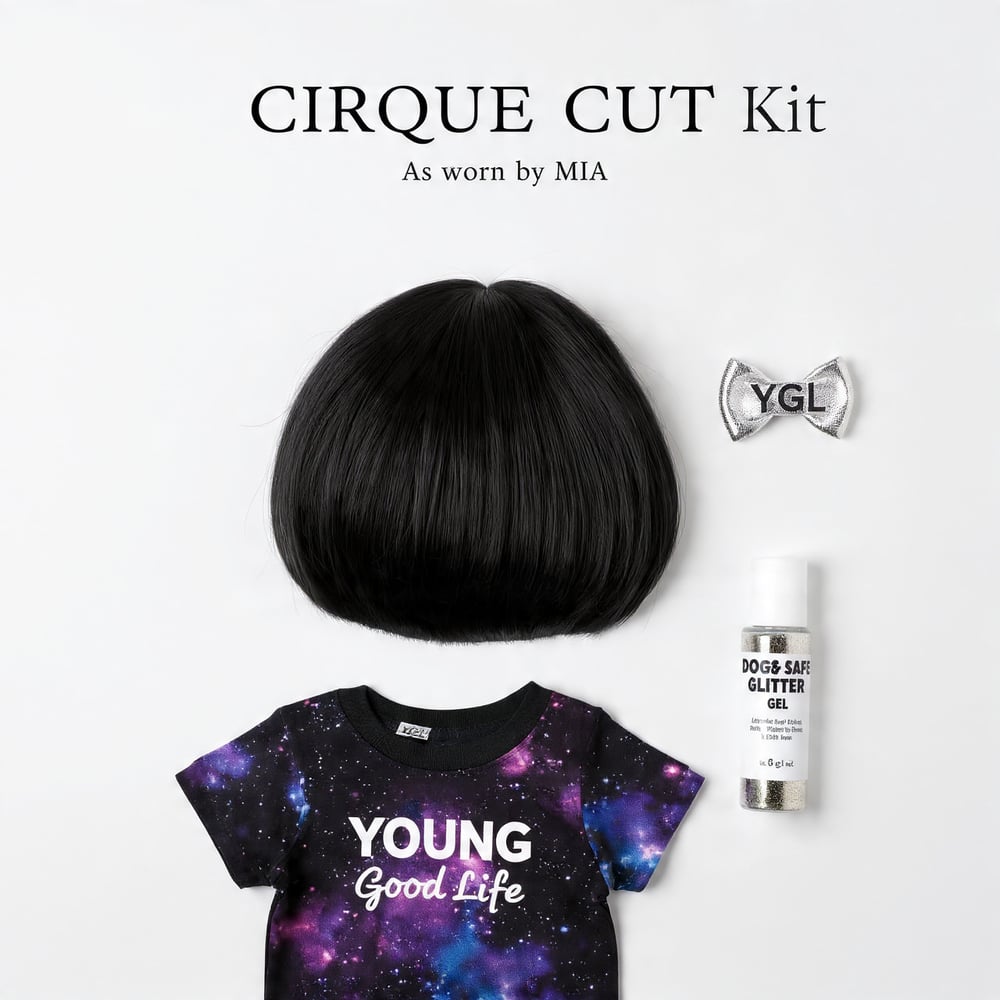 Image of CIRQUE CUT KIT
