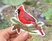 Image 1 of Red Cardinal Bird Vinyl Sticker