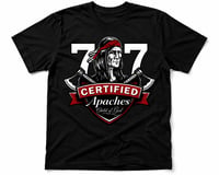 Image 1 of VINTAGE VALLEJO APACHES #1