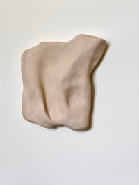 Image 1 of Morphic Earth 