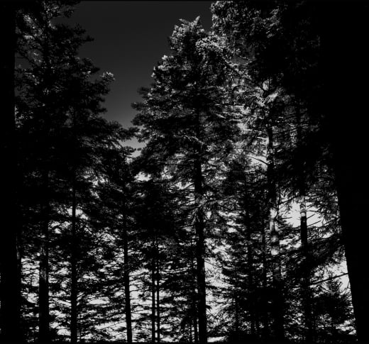 Image of Sacrificia Mortuorum - En Offrande (Digipack CD)