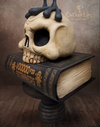 Image 3 of Voodoo Raven