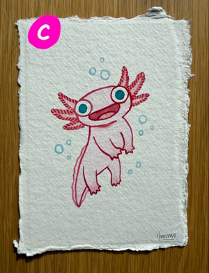 Image of AXOLOTLS