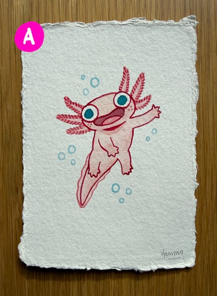 Image of AXOLOTLS